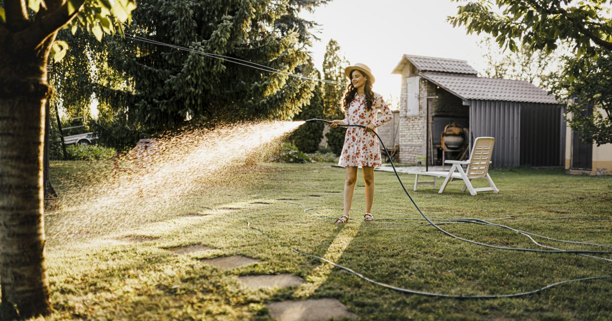 comment préparer votre jardin avant l'été 2026